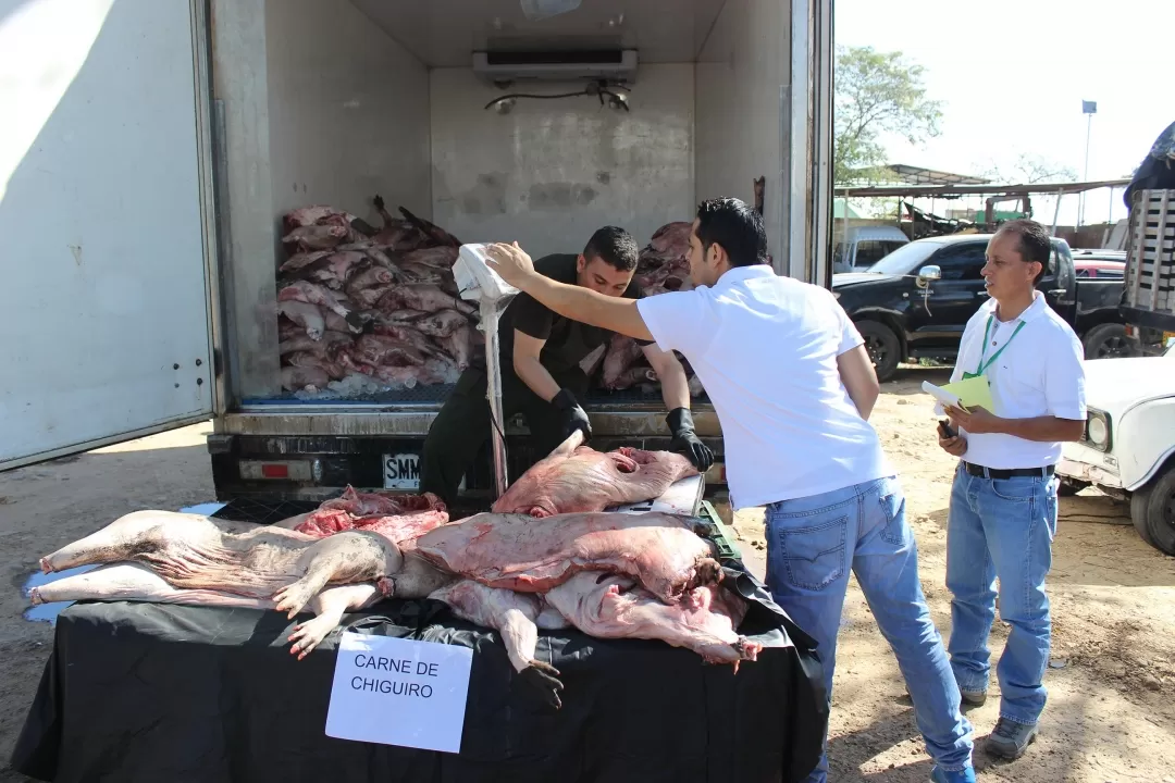La carne fue incauta en el municipio de Paz de Ariporo.